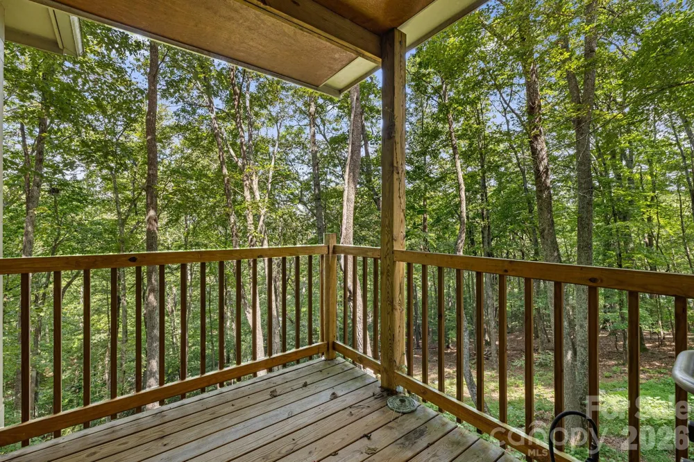 22 Wild Violet Lane Arden, NC 28704