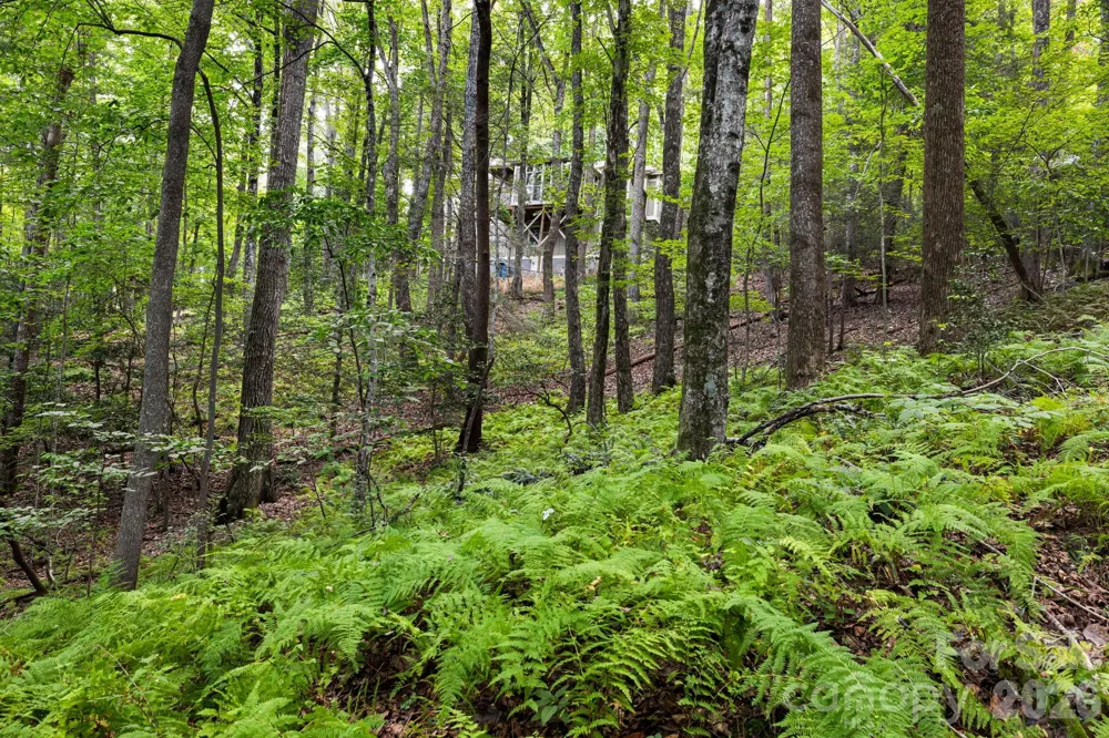 22 Wild Violet Lane Arden, NC 28704