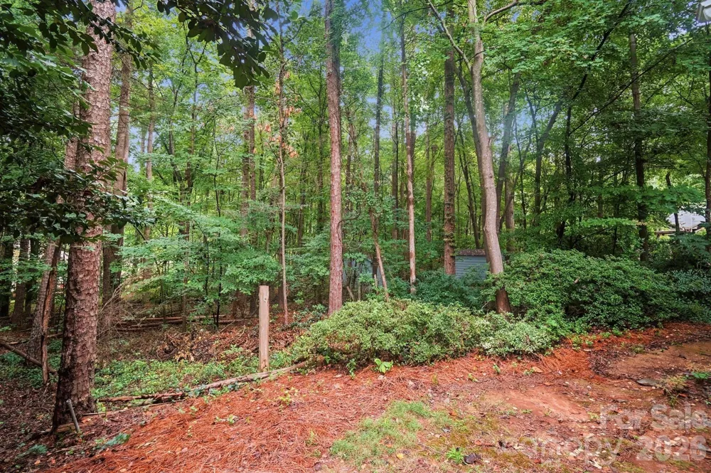 2819 Cedar Chase Drive Matthews, NC 28105