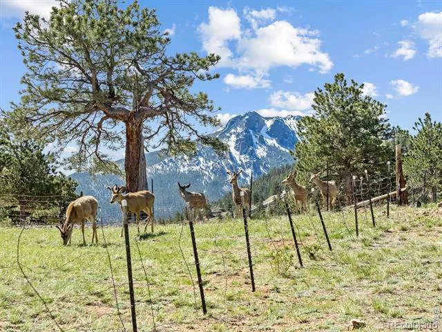2010 Marys Lake Road Estes Park, CO 80517