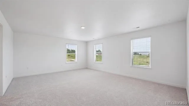 13990 Beebalm Trail Parker, CO 80134