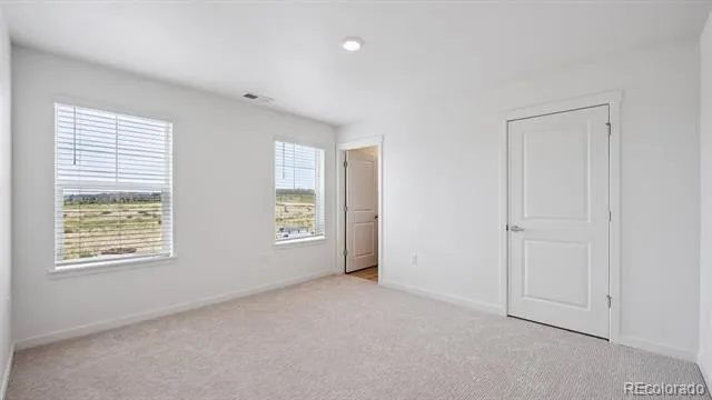 13990 Beebalm Trail Parker, CO 80134