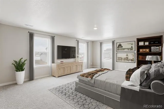 13990 Beebalm Trail Parker, CO 80134