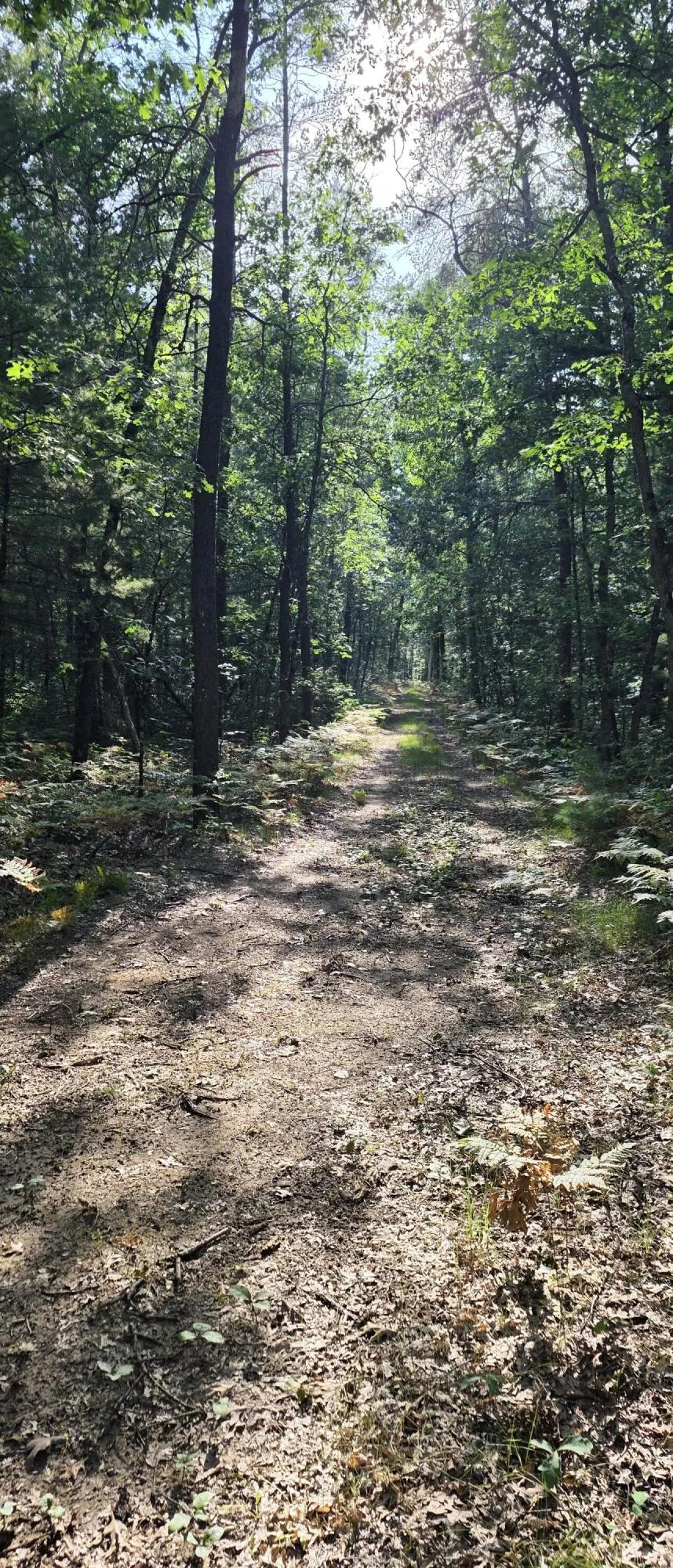 9676 Campbell Road Free Soil, MI 49411