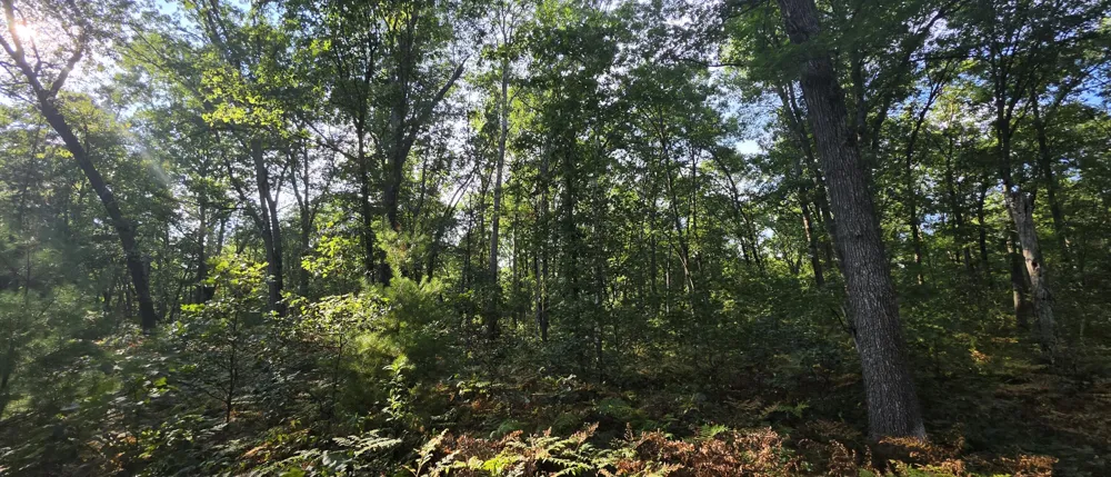 9676 Campbell Road Free Soil, MI 49411