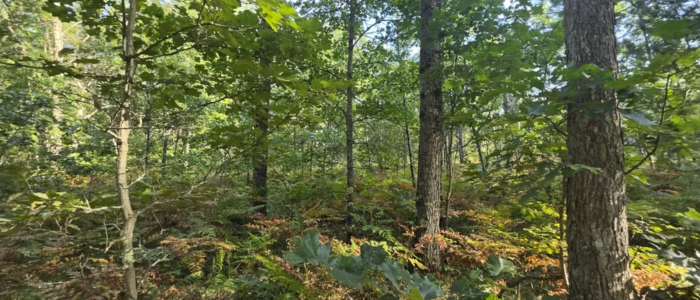 9676 Campbell Road Free Soil, MI 49411