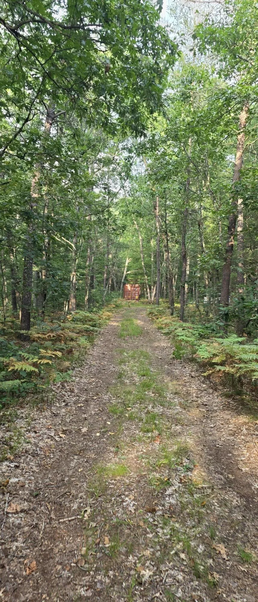 9676 Campbell Road Free Soil, MI 49411