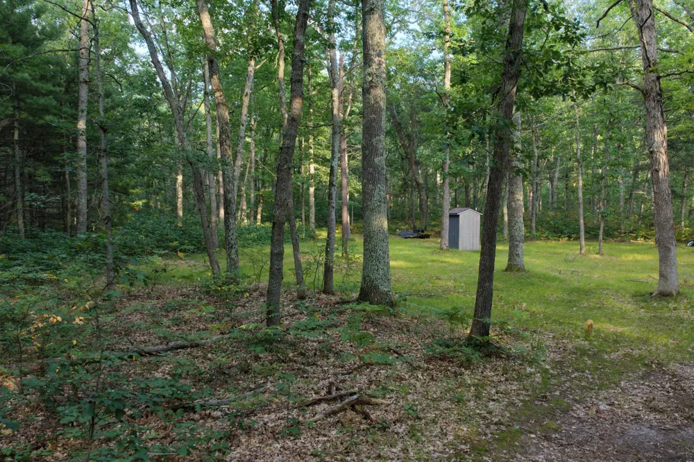 9676 Campbell Road Free Soil, MI 49411