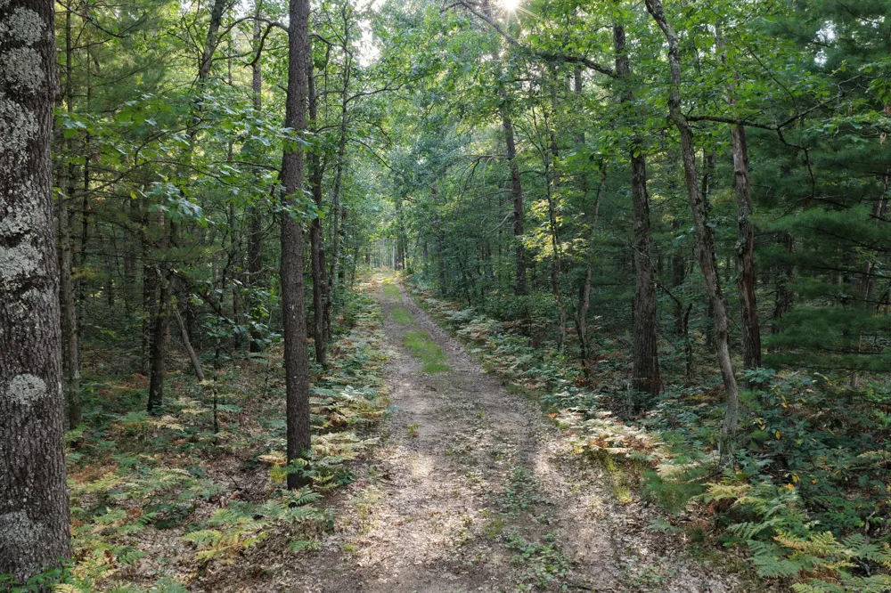 9676 Campbell Road Free Soil, MI 49411