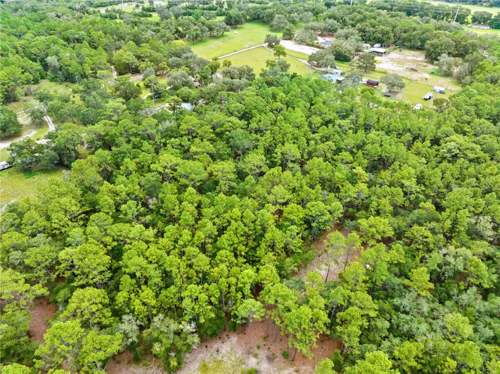 0 SHAVER DRIVE Brooksville, FL 34601
