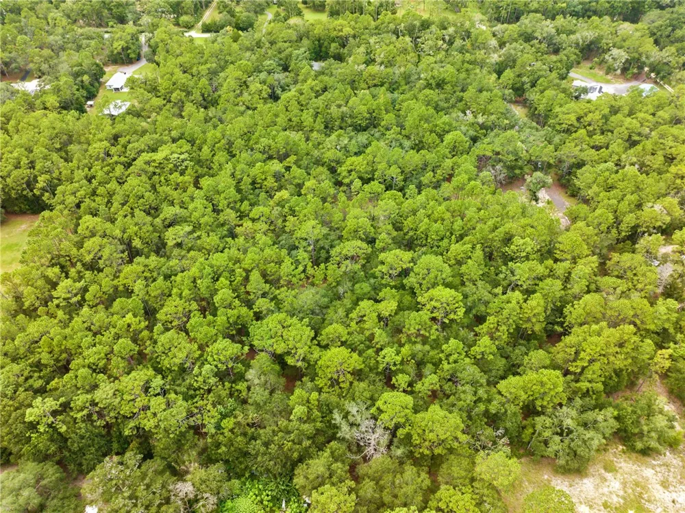 0 SHAVER DRIVE Brooksville, FL 34601