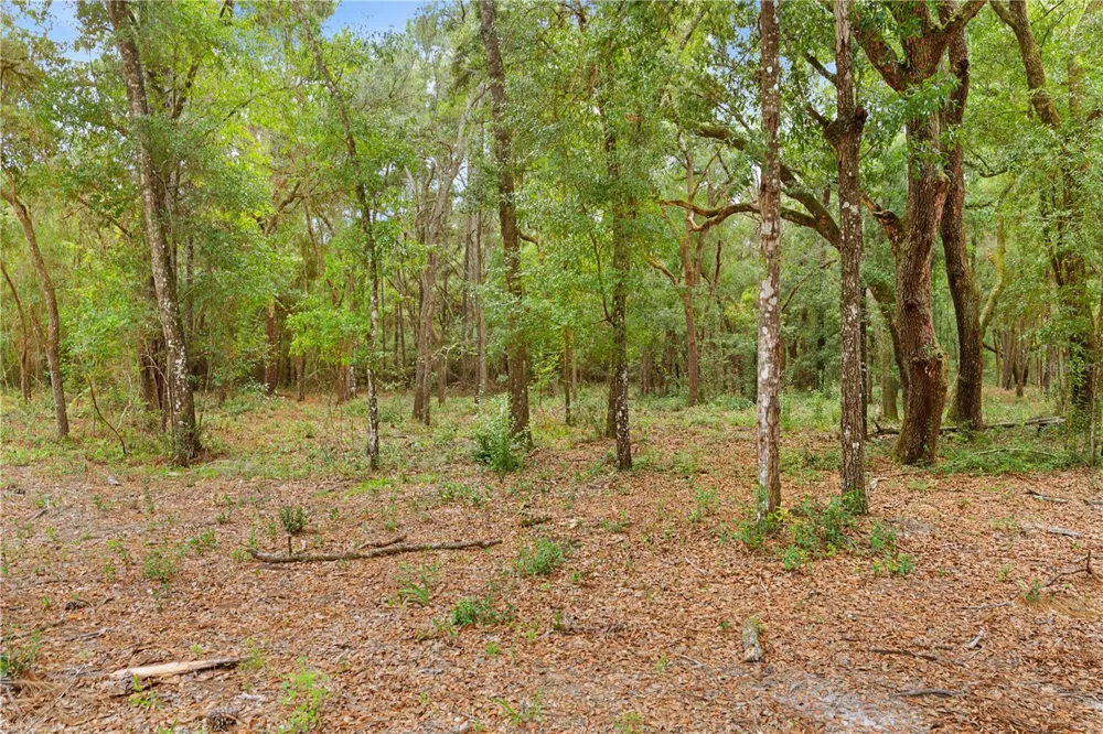 0 SHAVER DRIVE Brooksville, FL 34601