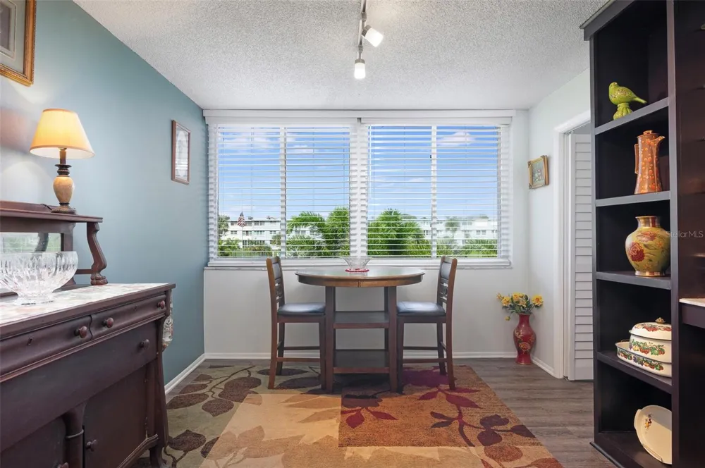 4720 LOCUST STREET NE #219 St Petersburg, FL 33703