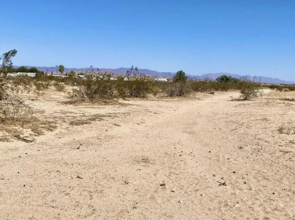 1114 Desert Queen Road 29 Palms, CA 92277