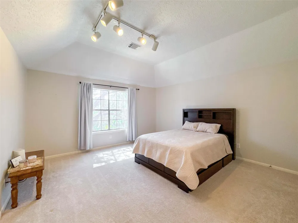 1250 Hunter Wood Drive League City, TX 77573
