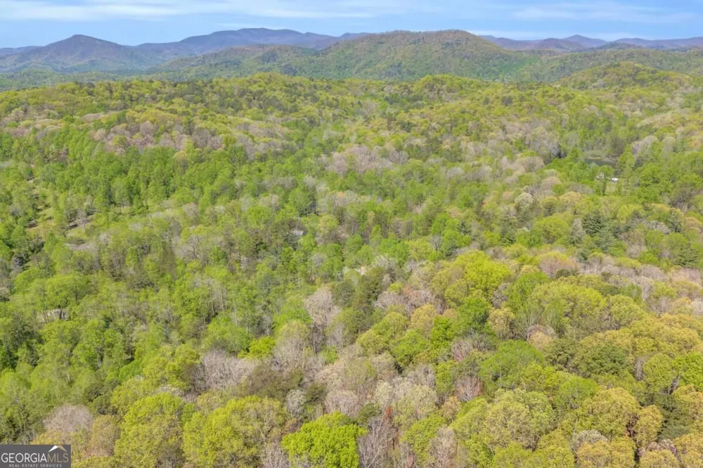 294 Brookwood LN Clarkesville, GA 30523