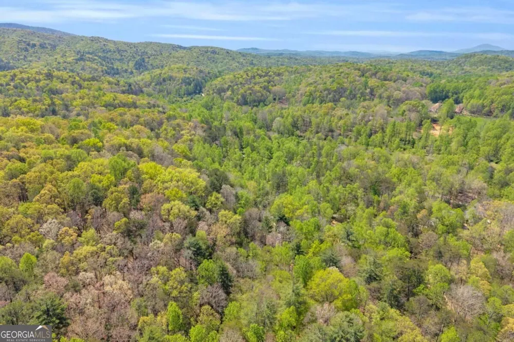 294 Brookwood LN Clarkesville, GA 30523