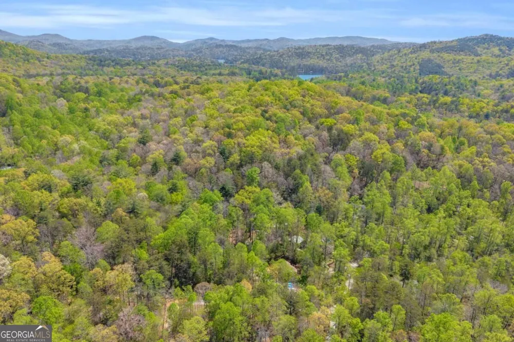 294 Brookwood LN Clarkesville, GA 30523