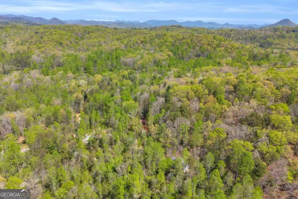 294 Brookwood LN Clarkesville, GA 30523