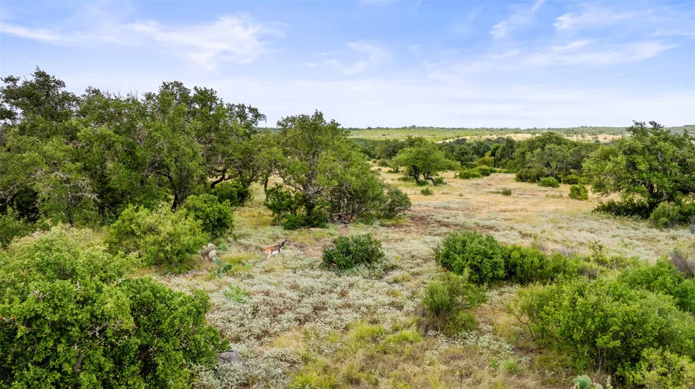 37 Vista Ridge Drive Round Mountain, TX 78663