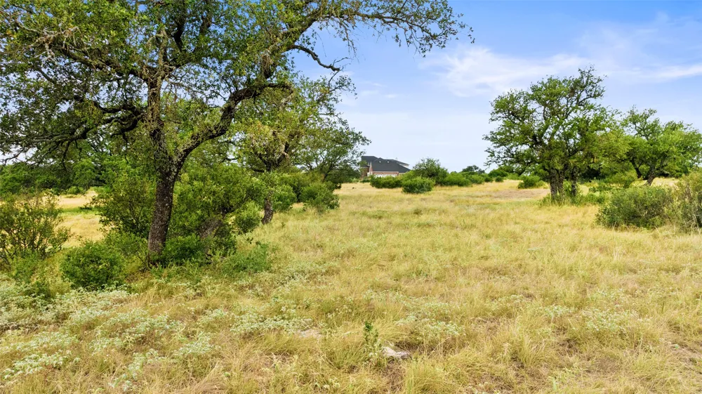 37 Vista Ridge Drive Round Mountain, TX 78663