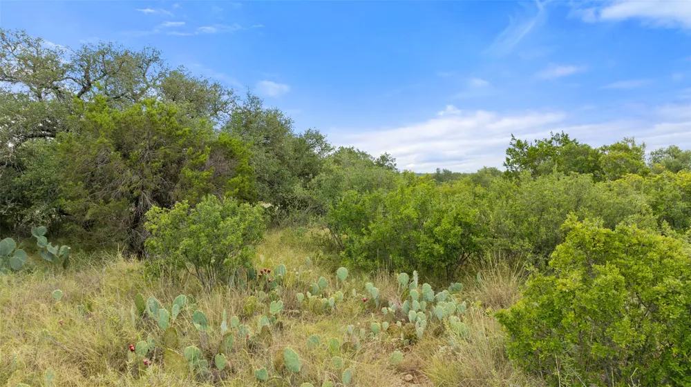37 Vista Ridge Drive Round Mountain, TX 78663