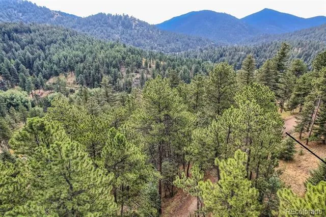 5296 Cherokee Road Indian Hills, CO 80454