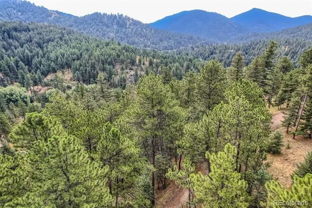5296 Cherokee Road Indian Hills, CO 80454