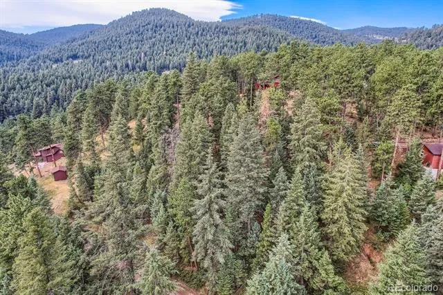 5296 Cherokee Road Indian Hills, CO 80454
