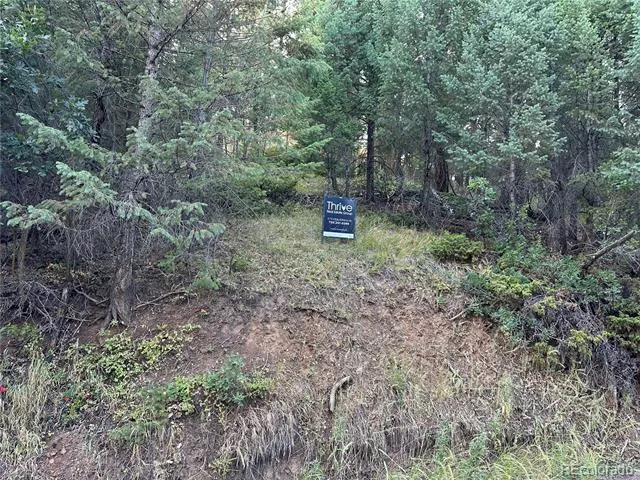 5296 Cherokee Road Indian Hills, CO 80454