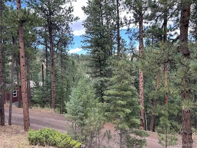 5296 Cherokee Road Indian Hills, CO 80454