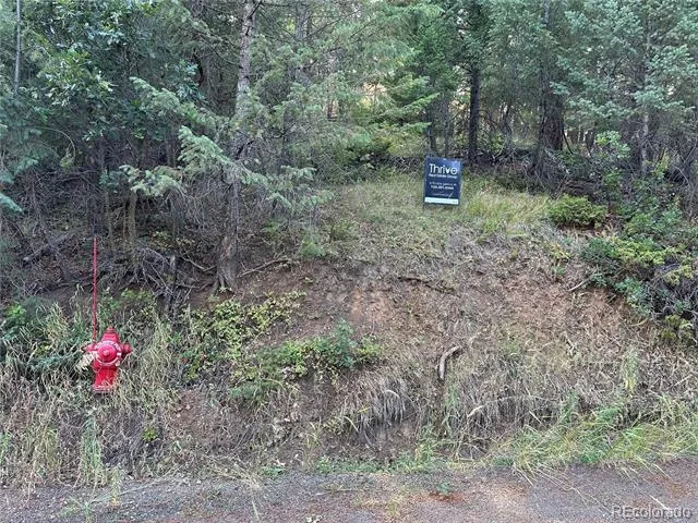 5296 Cherokee Road Indian Hills, CO 80454