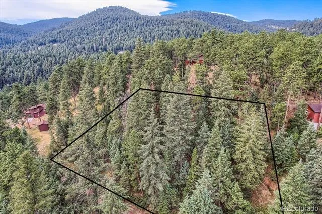 5296 Cherokee Road Indian Hills, CO 80454