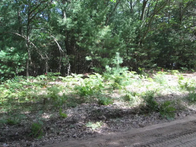 Victoria Boulevard #C-2 Pentwater, MI 49449