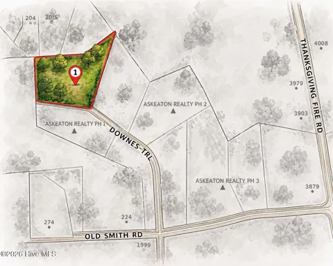 50 Downes Trail