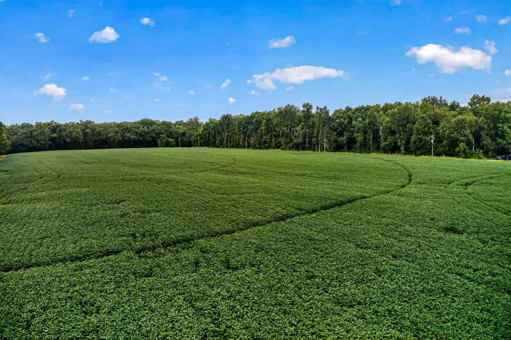 61519 Neaman Road Lockport Township, MI 49042