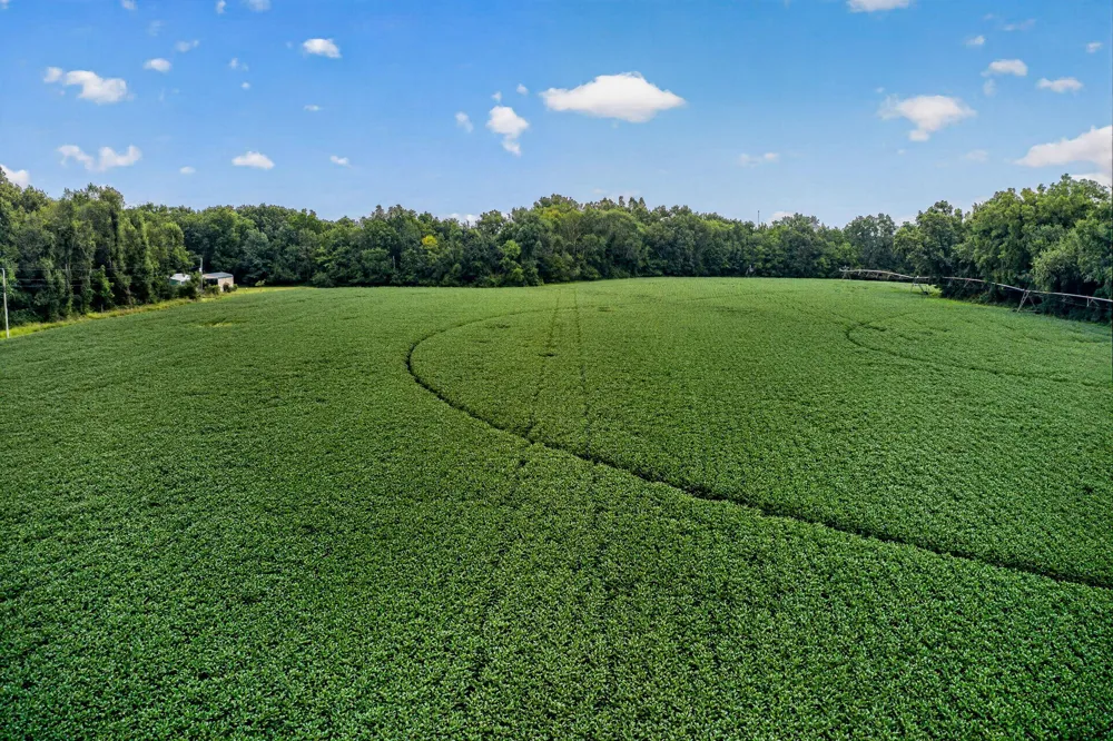 61519 Neaman Road Lockport Township, MI 49042