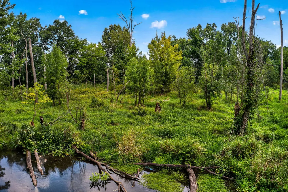 61519 Neaman Road Lockport Township, MI 49042