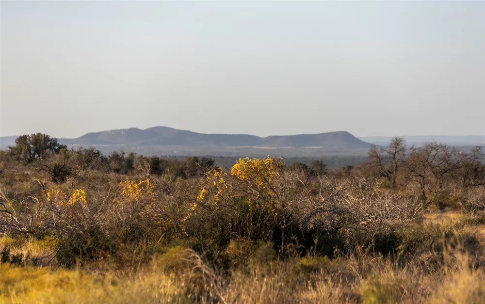 W RR 962 Round Mountain, TX 78663