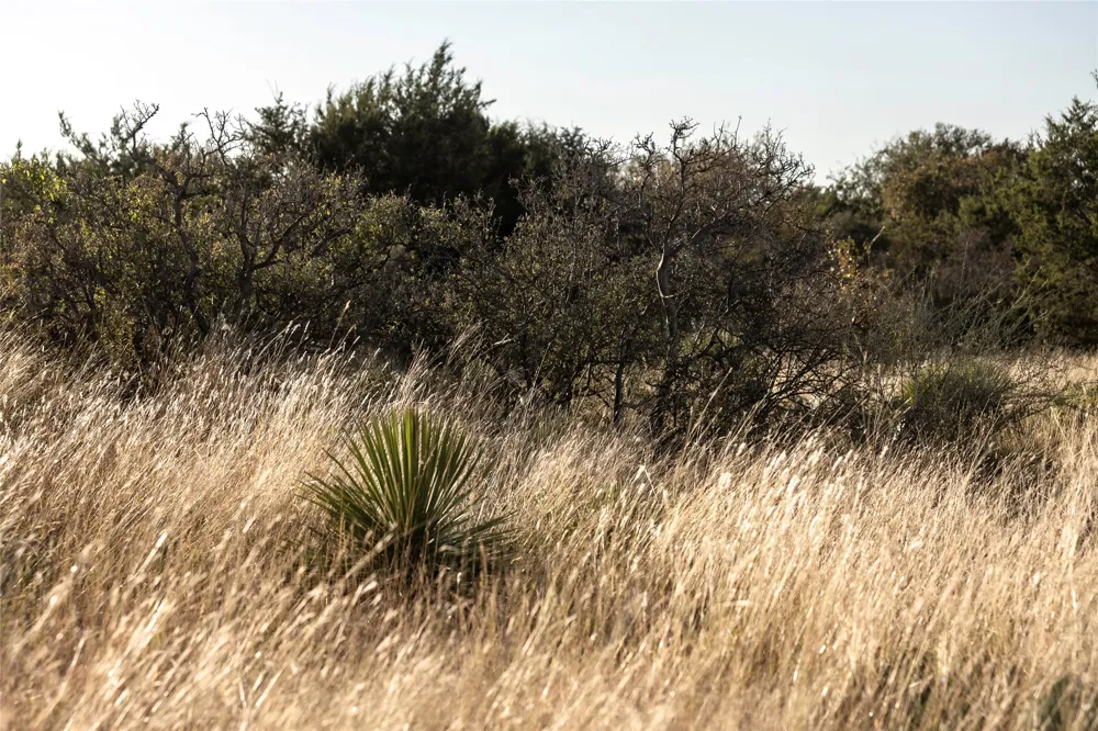 W RR 962 Round Mountain, TX 78663