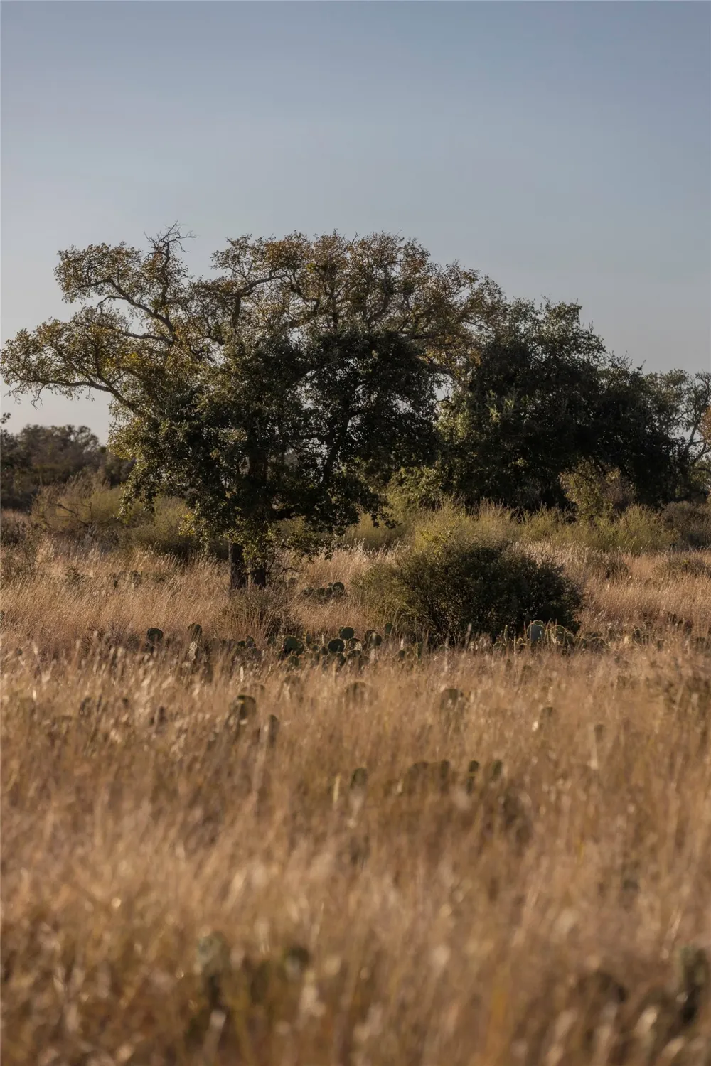 W RR 962 Round Mountain, TX 78663