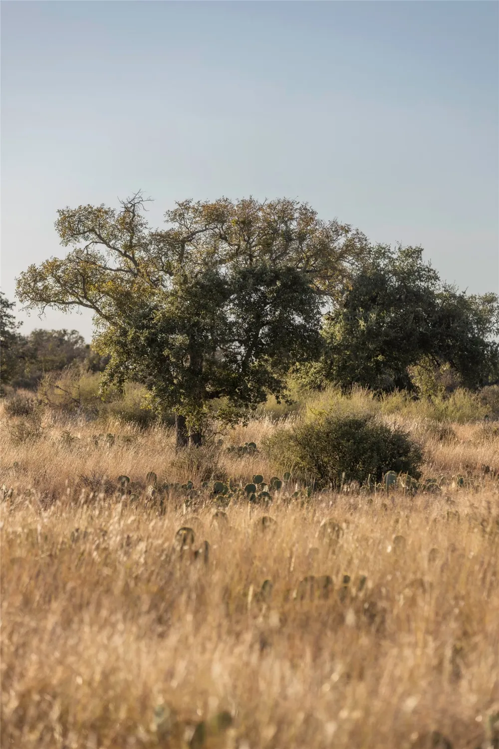 W RR 962 Round Mountain, TX 78663