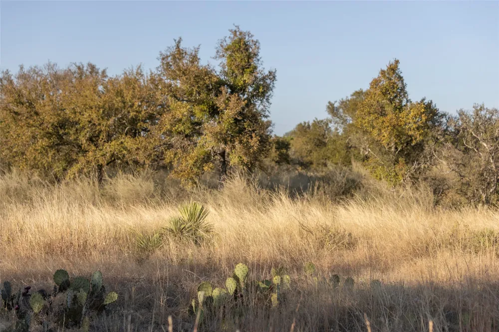 W RR 962 Round Mountain, TX 78663