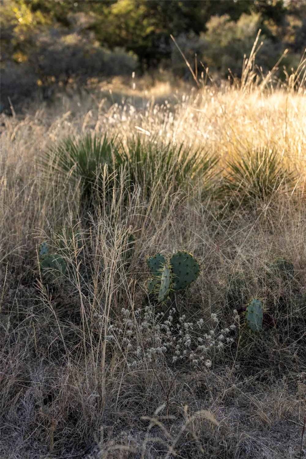 W RR 962 Round Mountain, TX 78663