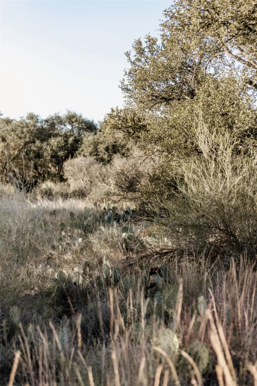 W RR 962 Round Mountain, TX 78663