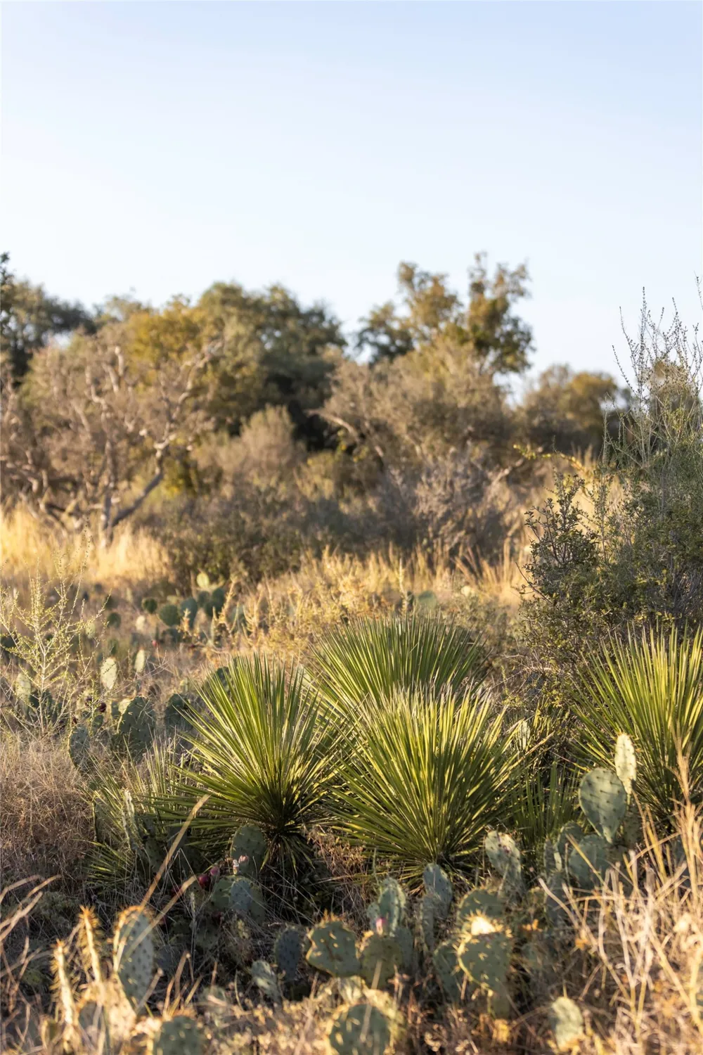 W RR 962 Round Mountain, TX 78663