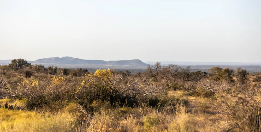 W RR 962 Round Mountain, TX 78663