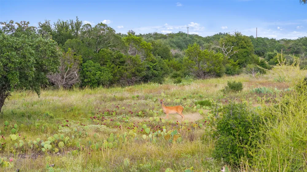 W RR 962 Round Mountain, TX 78663