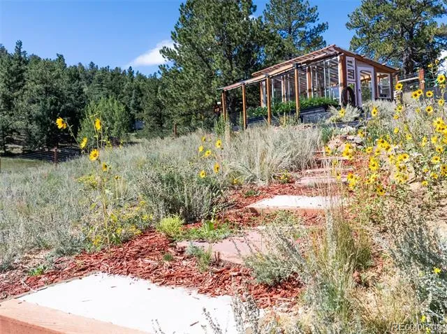 191 Strong Drive Cripple Creek, CO 80813