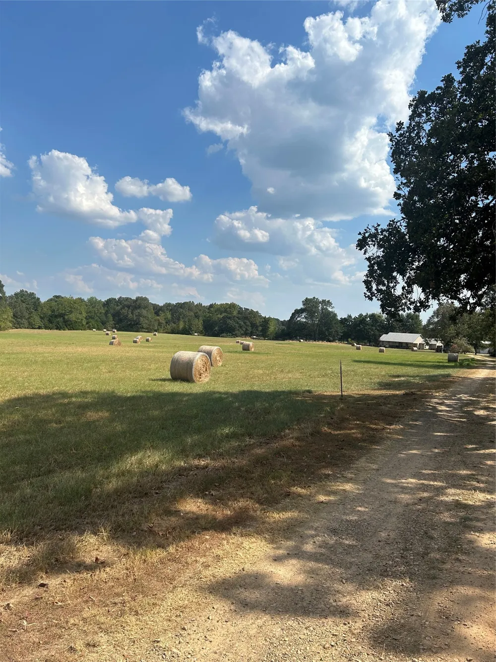 1620 FR 3298 Powderly, TX 75473
